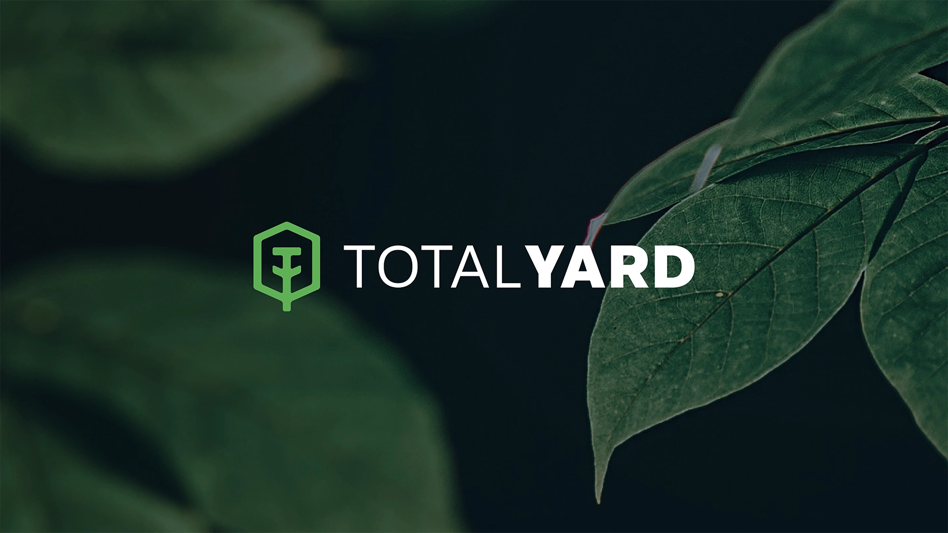Total Yard's visual identity project case study
